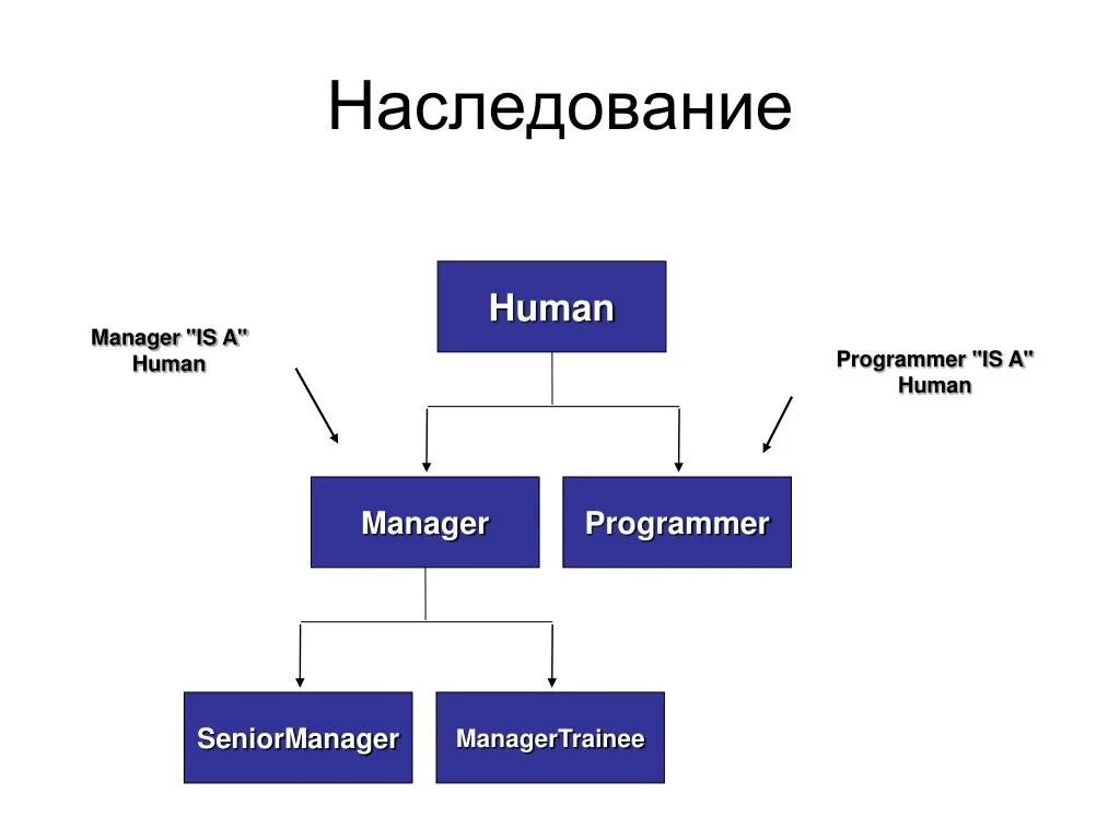 Наследование в ооо. Наследование. Наследование Информатика. Типы наследования в программировании. Наследование классов java.