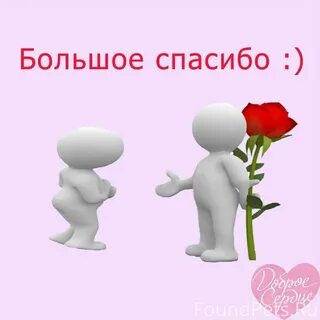 Спасибо за неравнодушие