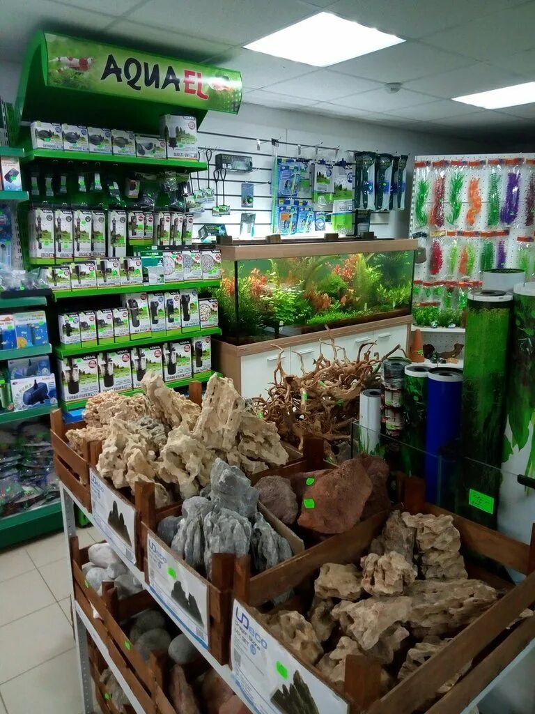 живой уголок киров. провино киров бар. зоомагазин на труда киров. зоомагазин на кирова. живой уголок киров.