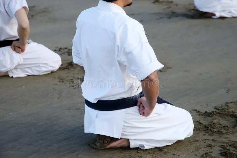Japanese karate