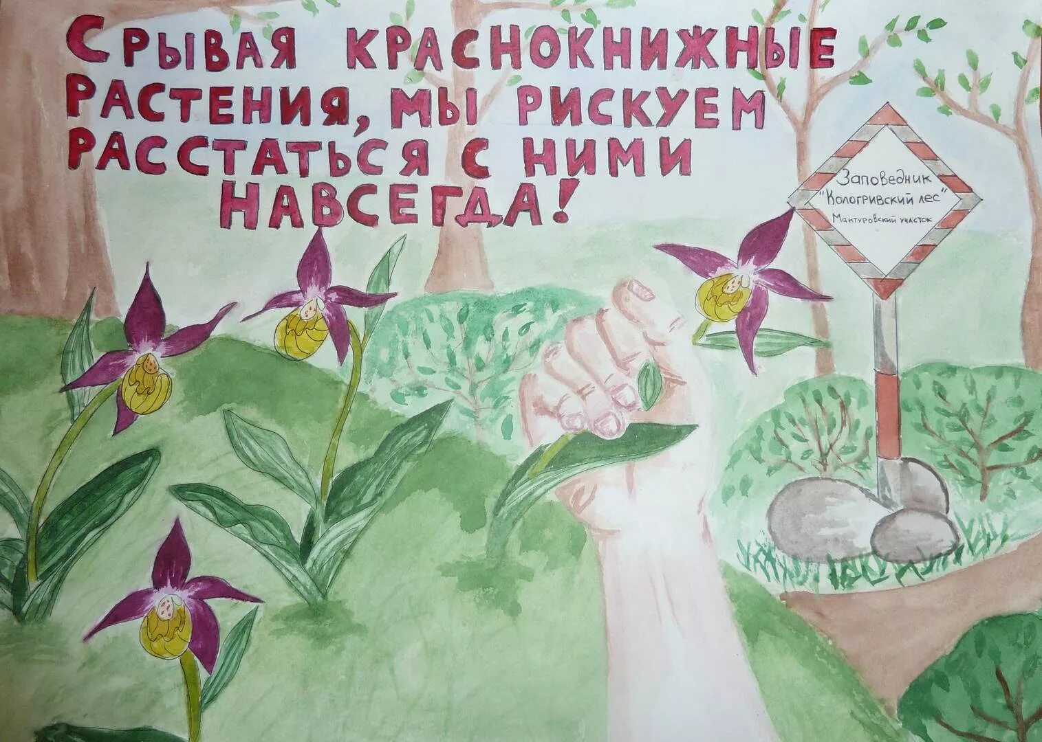 Берегите растения красной книги. Плакат о защите редких растений. плакат на тему защита животных и растений. рисунок на тему охраняемые растения и животные. защитиживотныхирастеникраснокниги.