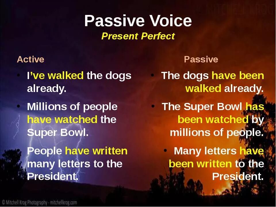 Present active voice. Пассивный залог present perfect. Пассивный залог презент Перфект. Страдательный залог present perfect. Present perfect Passive Voice.