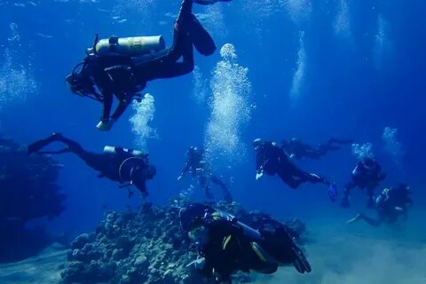 Водолазы подводный мир