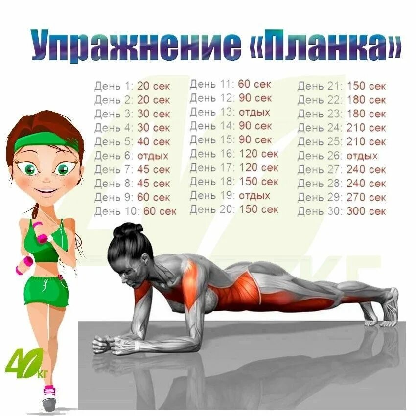 Сколько в день нужно делать планку
