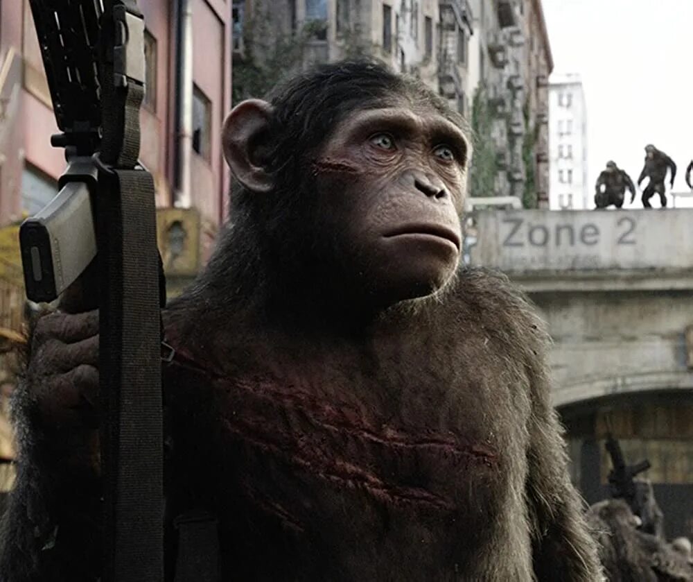 Планета обезьян 2014 качество. Тоби Кеббелл Планета обезьян. Планета обезьян: революция (2014).