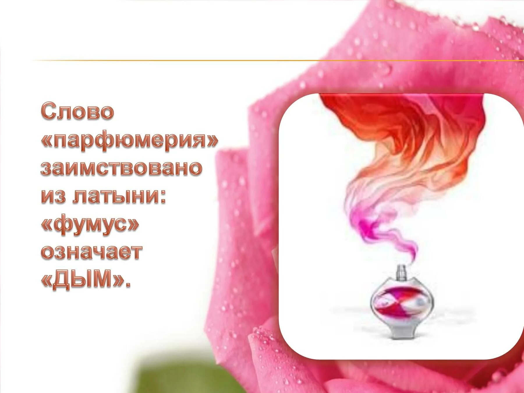 Значение слова духи. Слова про духи. Картинки о духах. Парфюмерия текст. Слова для духов.