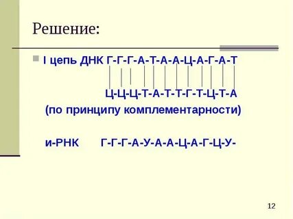 Днк а г т ц расшифровка
