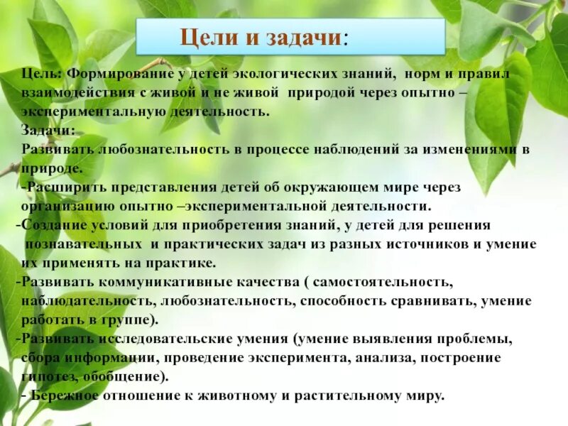 Задачи экологии. Экологические цели и задачи. Цель экологии для детей. Цель экология для дошкольников презентация. Эколог цели