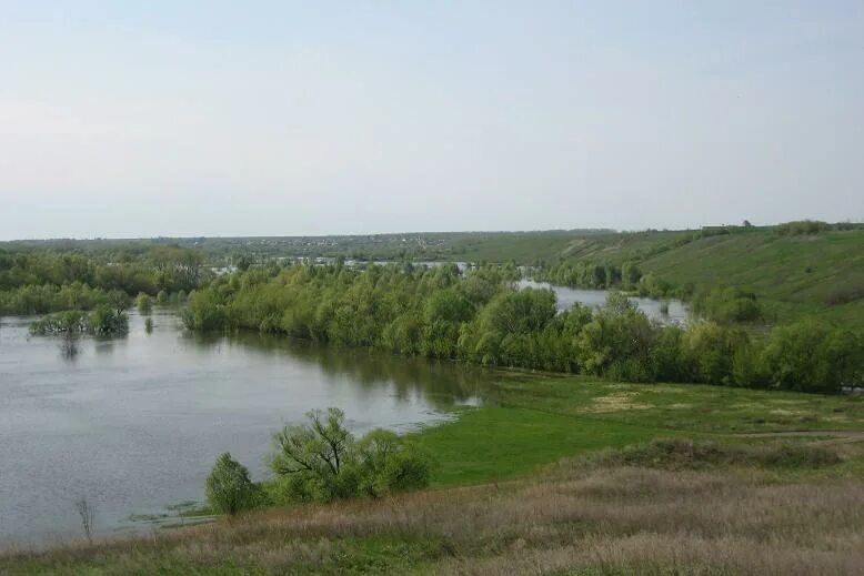 Деревня андриановка. Назаровка воронежская область. Караяшник. Гвоздовка ольховатский воронежская область. Погода андриановка ольховатский рн.
