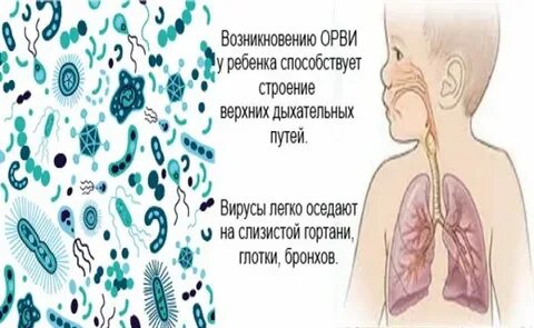 Острая инфекция верхних дыхательных путей неуточненная