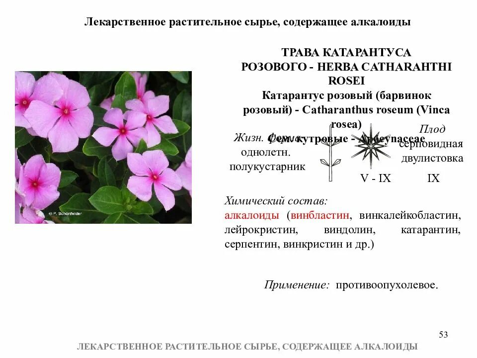 Растительный яд содержащий