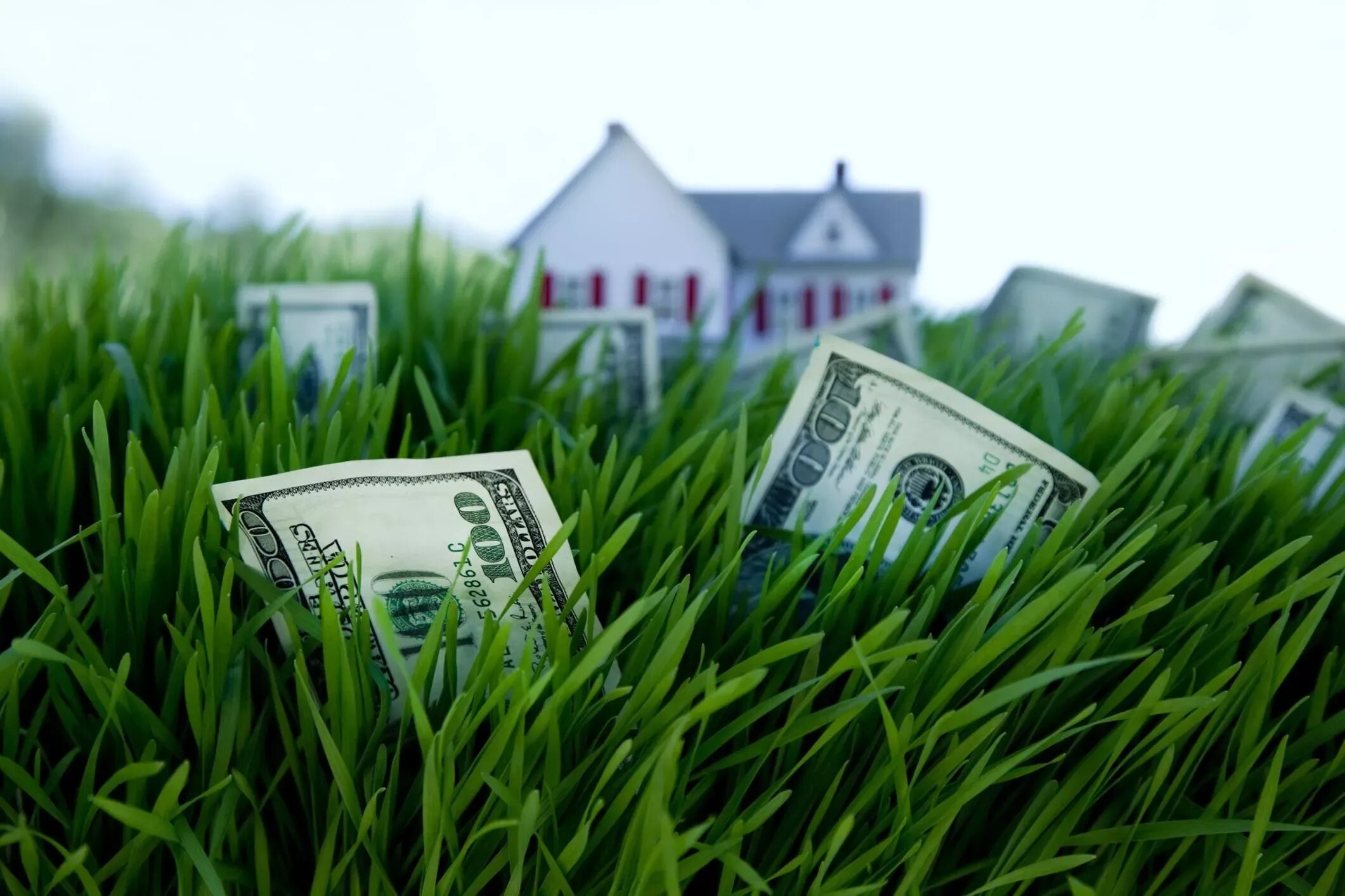 Доход с участка земли. Инвестирование в земельные участки. Деньги и природа. Земельный участок. Инвестировать в недвижимость.