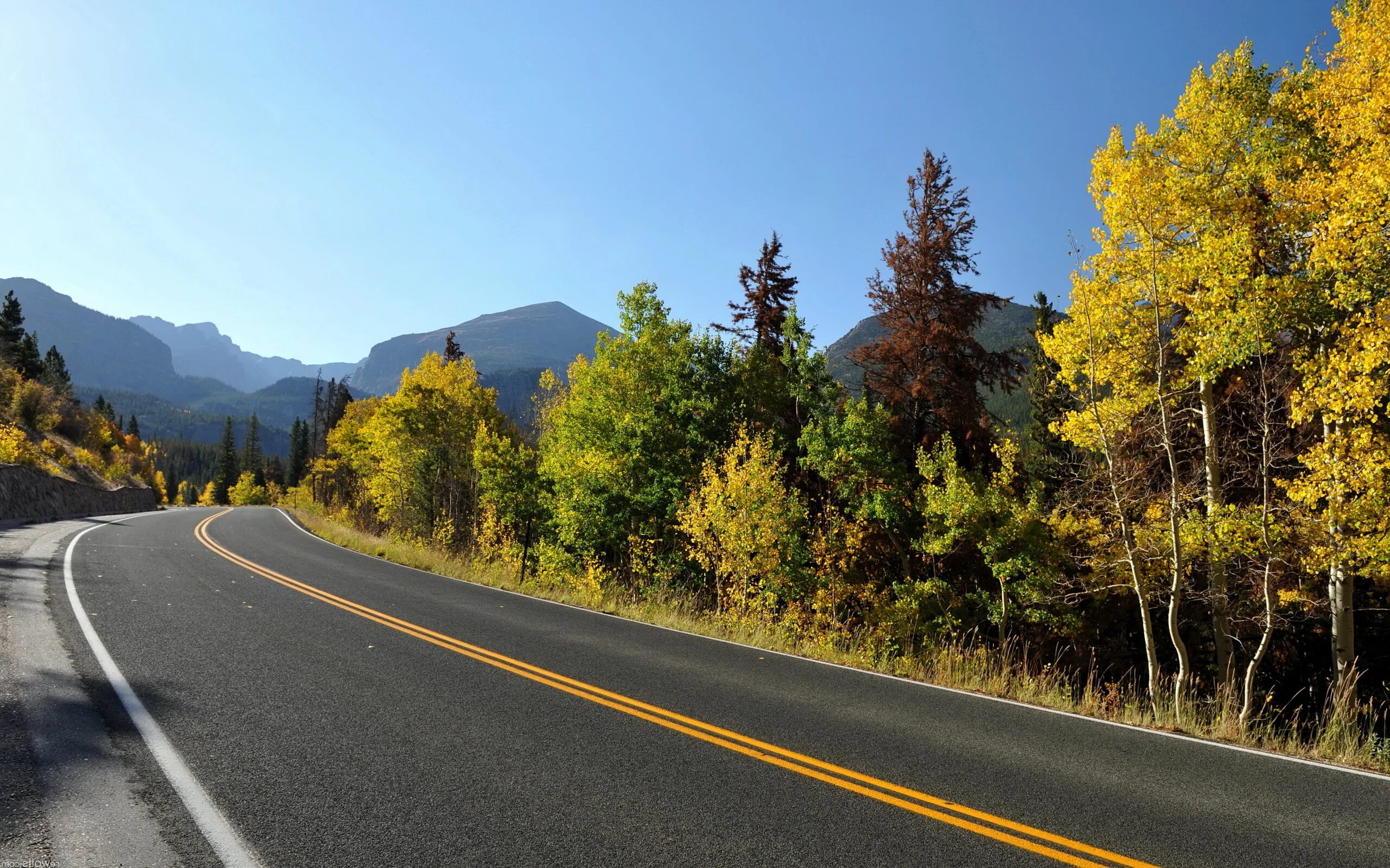Road