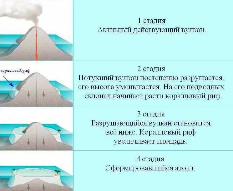 Коралловый остров это в географии 7 класс. Образование коралловых атоллов. Острова кораллового происхождения. Как появляются острова. Как образуются коралловые острова.