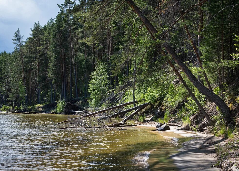 острова онежского озера. губа святуха онежского озера. заячья губа онежское озеро. шардонские острова онежского озера. шардонские острова карелия.