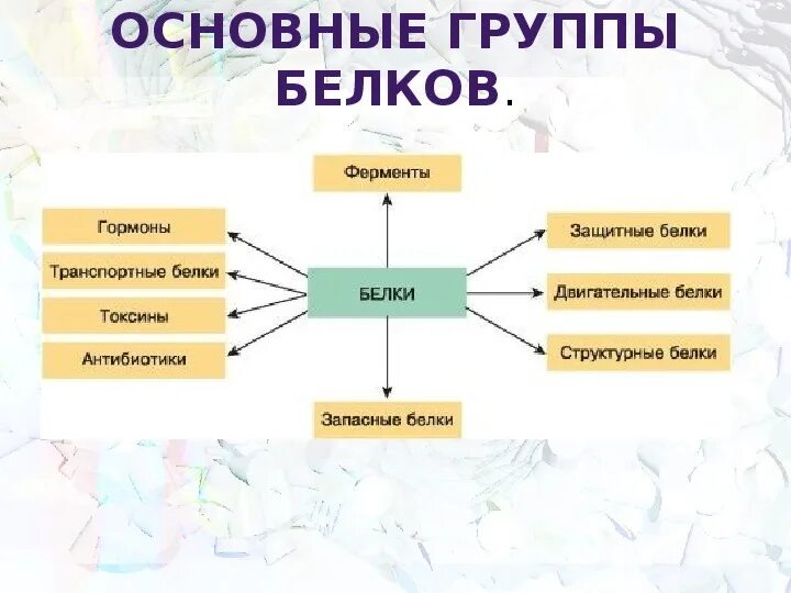 Белки 10 класс