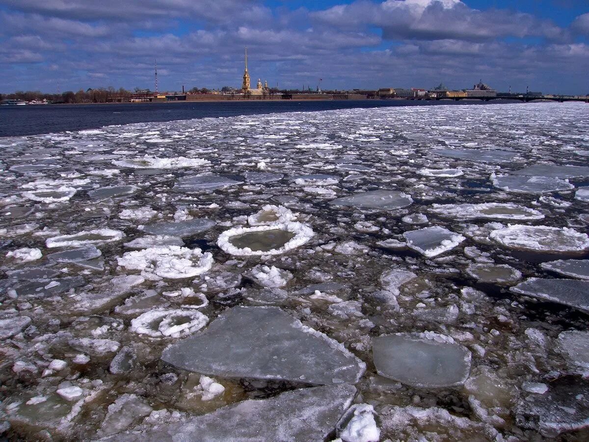 Ледоход на Неве. Ледоход на Неве,и.Наровлянски. Ледоход Арктика. Ледоход на неве 2024