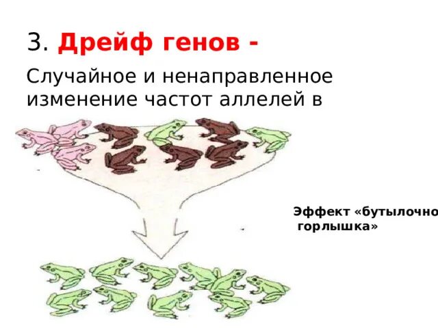 Результатом дрейфа генов является. Результатом дрейфа генов является