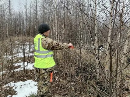 Камчатские лесничества