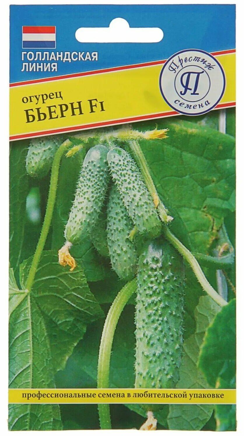 сорт огурцов бьерн. огурец бьерн f1. бьерн f1 семена огурца партенокарпического (enza zaden / энза заден). огурец туми f1. огурцы бёрн ф1.