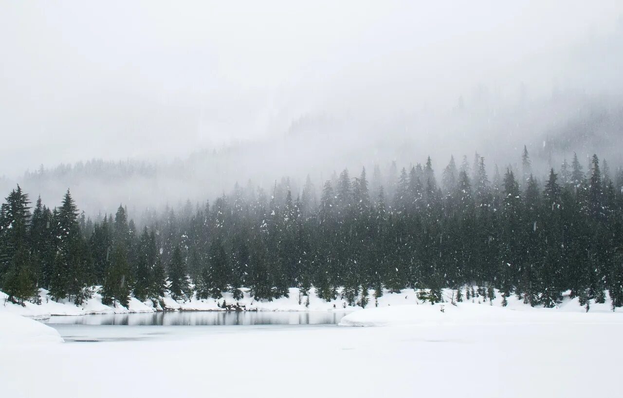 Сугроб туман. Горы зимой. Зима снег. Заснеженный лес в тумане. Лес в снегу.