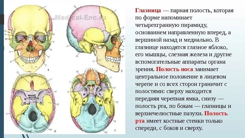 Сообщения полостей