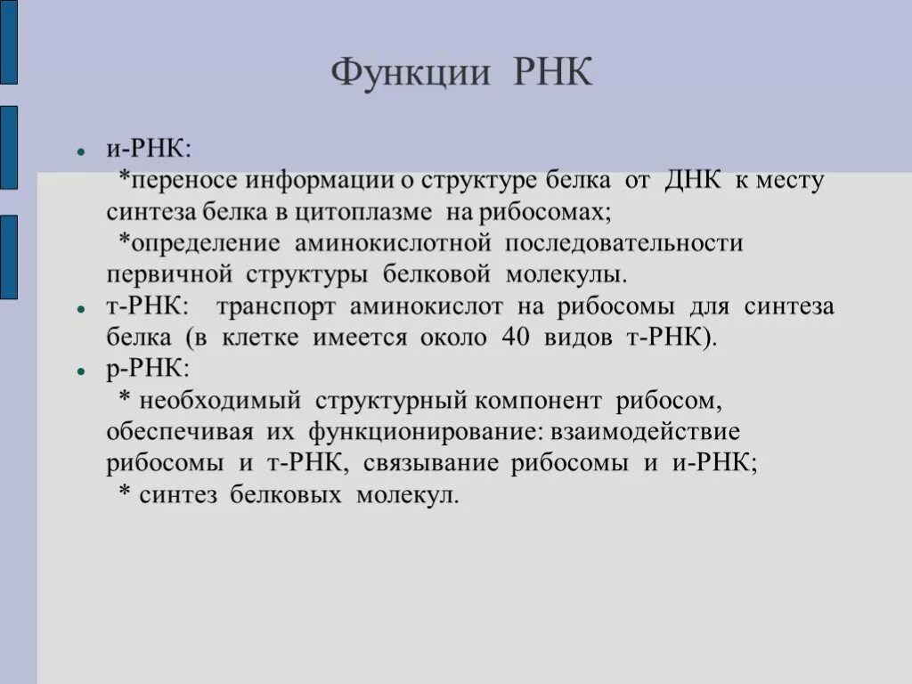 Функциональная рнк. Функции РНК. Перечислите функции РНК. Функции РНК кратко.