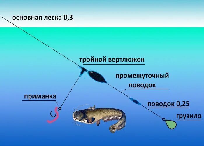 Секреты ловли фидером / Статьи: теория и практика рыбалки / Рыбалка на Урале и в