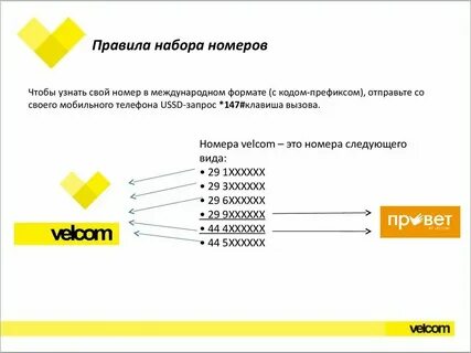 Как узнать номер телефона в беларуси