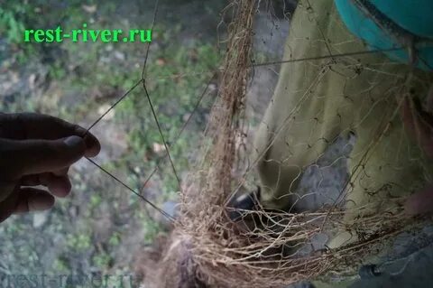 Посадка рыболовных