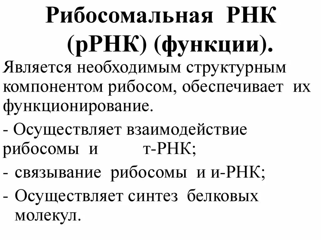 Функциональная рнк. Рибосомная РНК функции. РРНК функции. РРНК строение и функции. Р РНК функция.