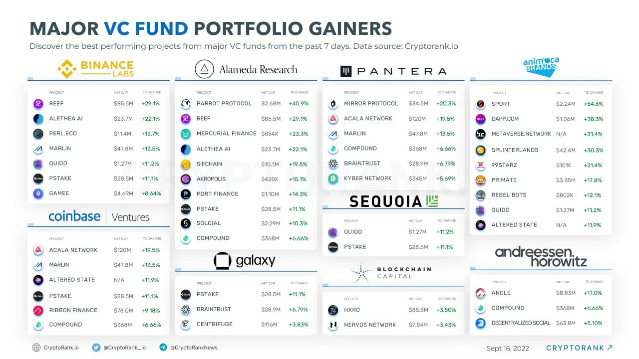 Major fund. Feminist software foundation. Operation cyclone. Feminist majority foundation. Major fund.