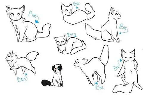 Рисовка котика