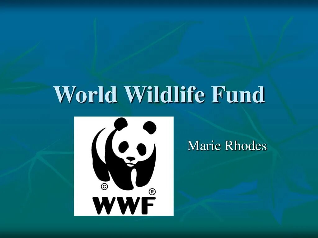 The world wildlife fund is