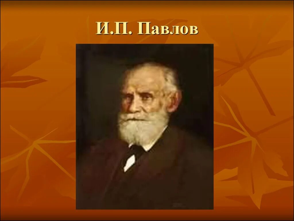 Ип павлова александров. И П Павлов. И П Павлов портрет. ИП Павлов. ИП Павлов фото.