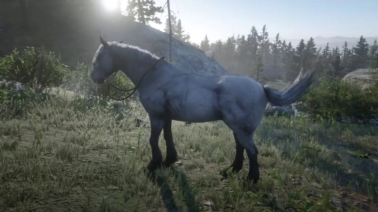 Rdr 2 мустанг. Тигровый мустанг. Red dead redemption 2 мустанг. Мустанг рдр. Red dead redemption 2 мустанг.