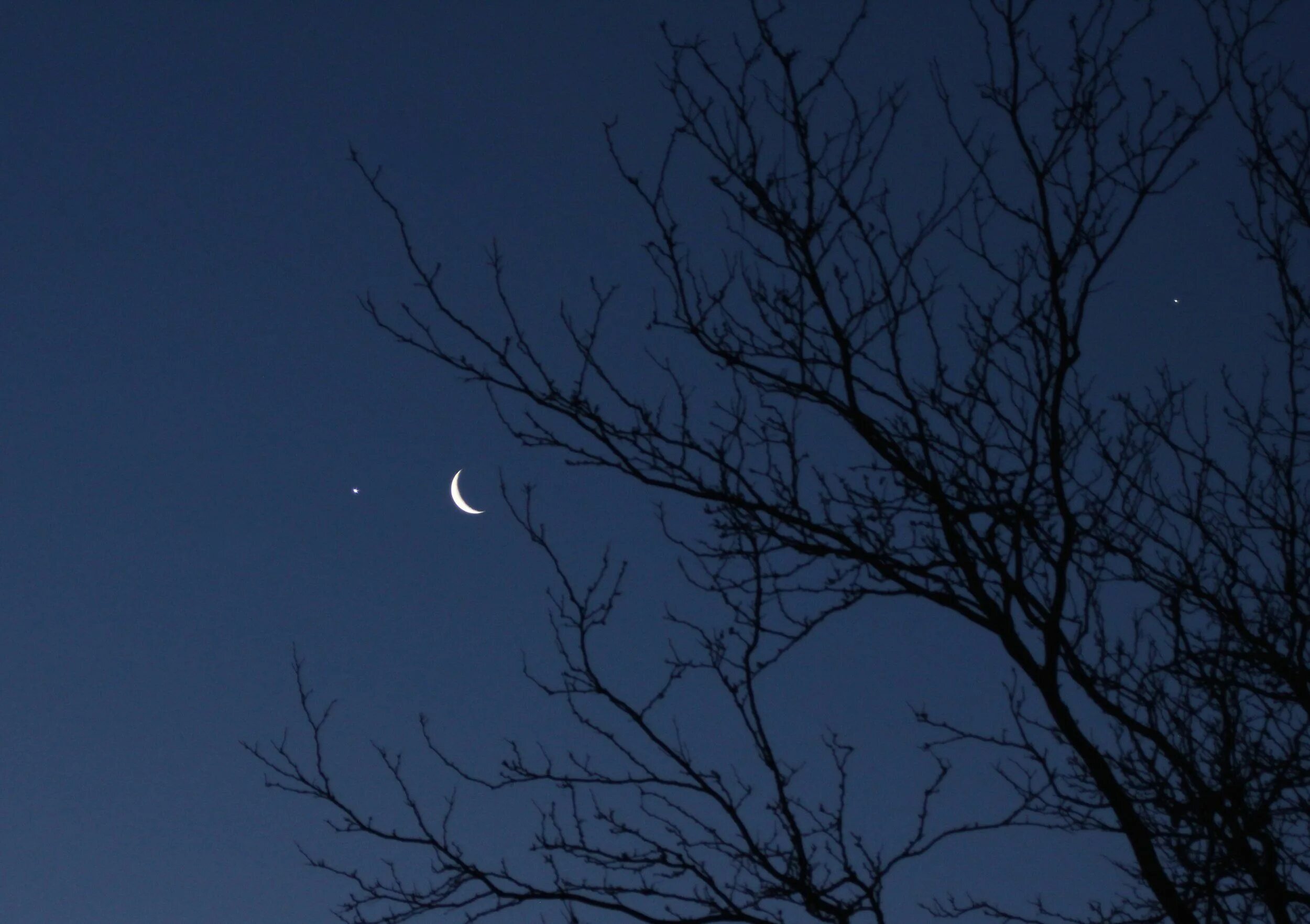 Песни а на небе луна. Дерево Юпитера. Драматичное небо Луна. Venus photo Crescent Moon.