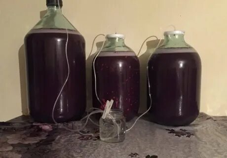 Как ставить вино из винограда