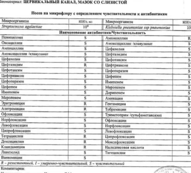 Бак посев инфекции. Бак посев мазка при беременности расшифровка. стрептококк агалактия чувствительность к антибиотикам. бак посев на микрофлору зева норма. бак посев мазок при беременности расшифровка.