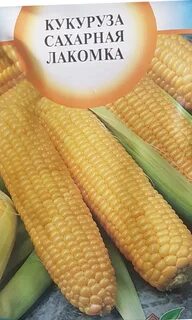 Кукуруза лакомка