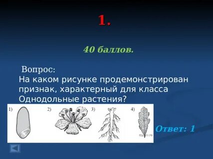 Какой признак не характерен для анемофильных