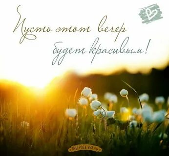 Доброе утро природа картинки мужчине