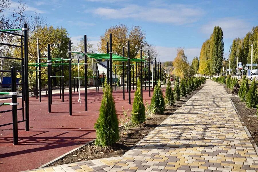 Парк сквер. Краснодарская улица. Городская среда краснодара. Парк горького аллея. Городская среда краснодара.