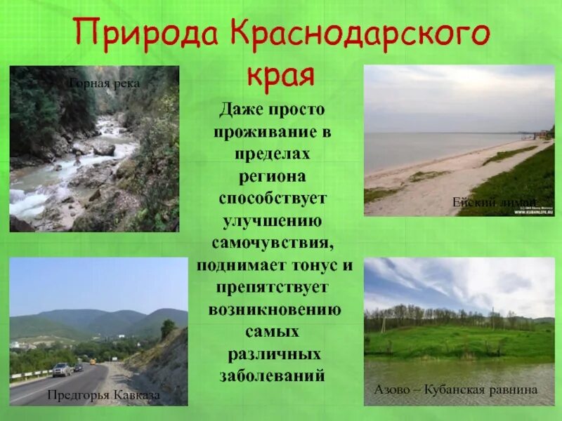 Краснодарский край презентация. Природа Кубани доклад. Природа Краснодарского края презентация. Презентация на тему природа Кубани.