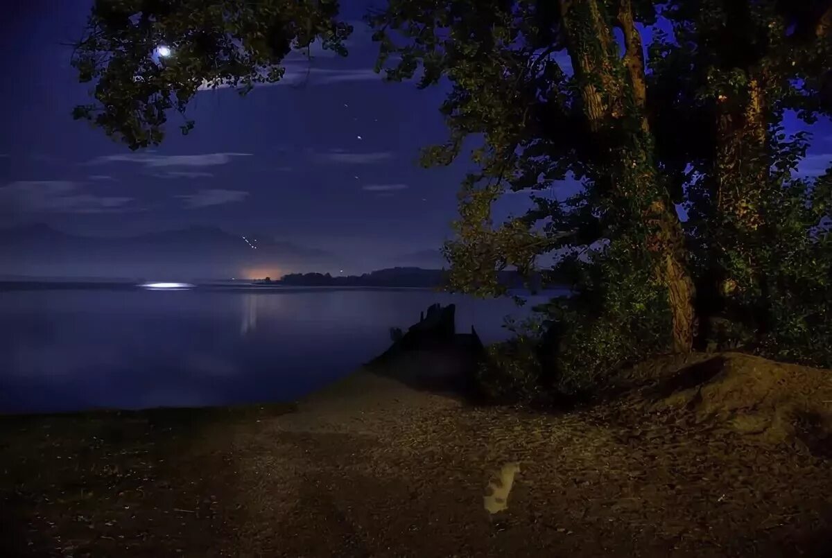 До самого позднего вечера. Ночное озеро. Ночная природа. Лунная ночь. Красивые ночные пейзажи.