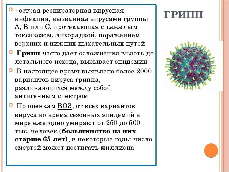 Респираторные вирусы гриппа. Вирус гриппа. Характеристика вируса гриппа. Вирус гриппа относится к семейству. Характеристика вируса гриппа типа а.