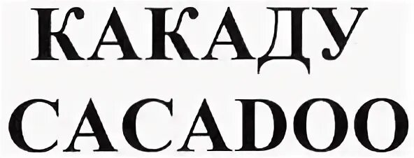 Какаду турфирма нижний новгород
