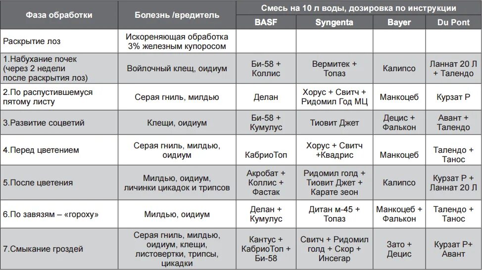 От болезни винограда весной. Схема обработки винограда весной. Схема обработки винограда от болезней. График обработки винограда. Схема обработки винограда от болезней и вредителей весной.