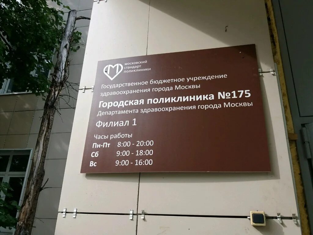 Гбуз 22 филиал 1. Городская поликлиника № 175, филиал № 1, Москва. ГБУЗ городская поликлиника № 175 ДЗМ, филиал № 3, Москва. ГБУЗ городская поликлиника № 175 ДЗМ, филиал № 5, Москва.