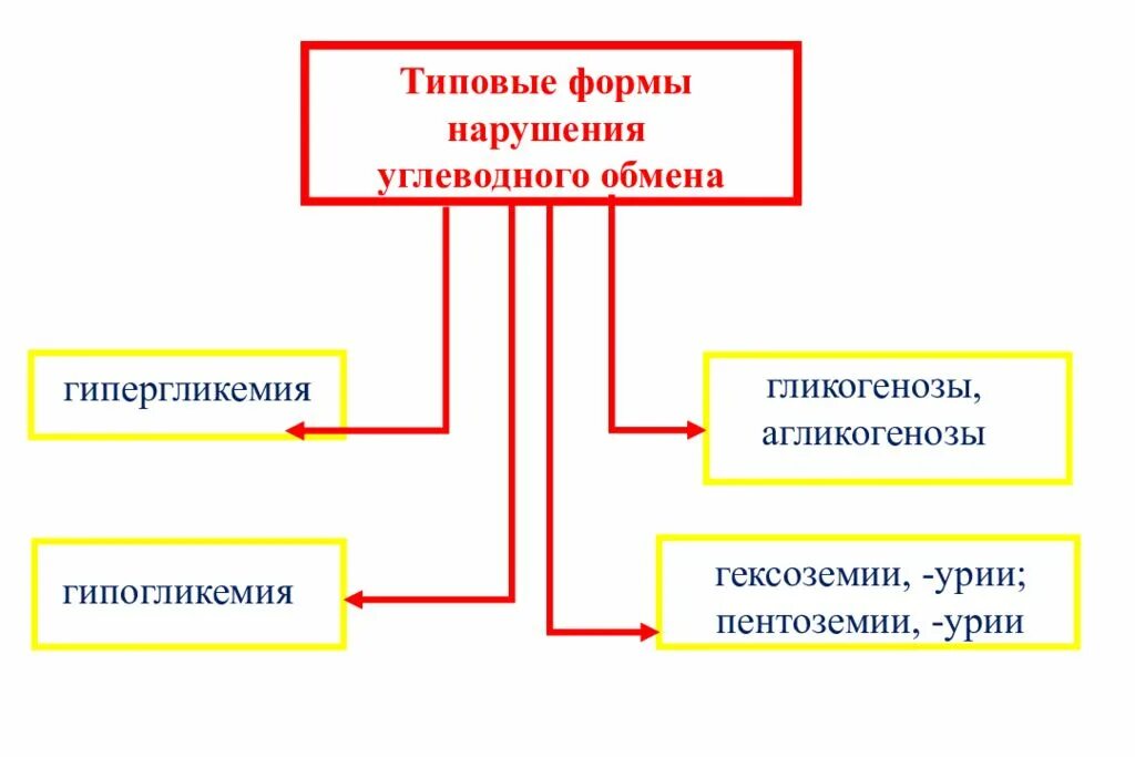 Заболевания обмена углеводов. Типовые формы нарушения углеводного обмена. Типовые формы нарушения углеводного обмена патофизиология. Нарушение обмена углеводов патофизиология. Формы нарушения углеводного обмена агликогенозы.